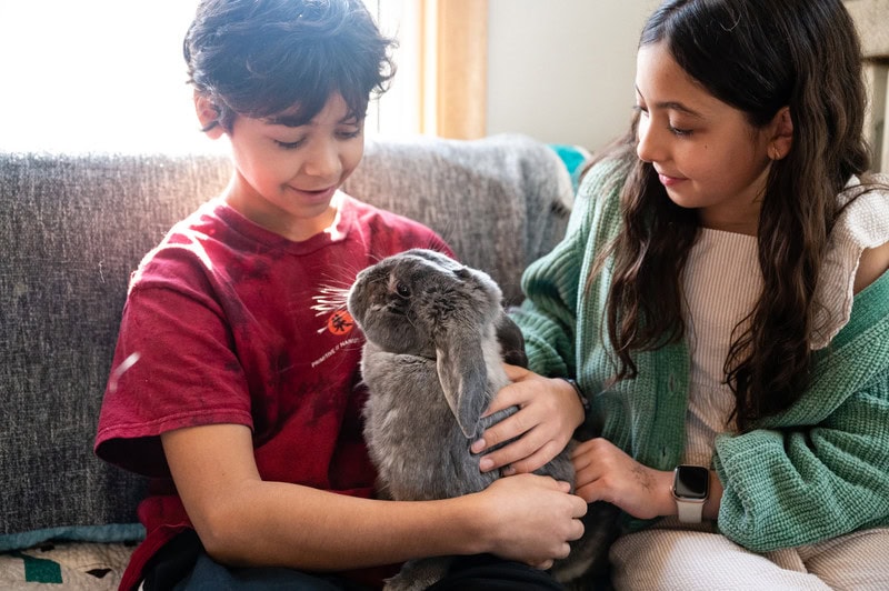 hsomh programs overview