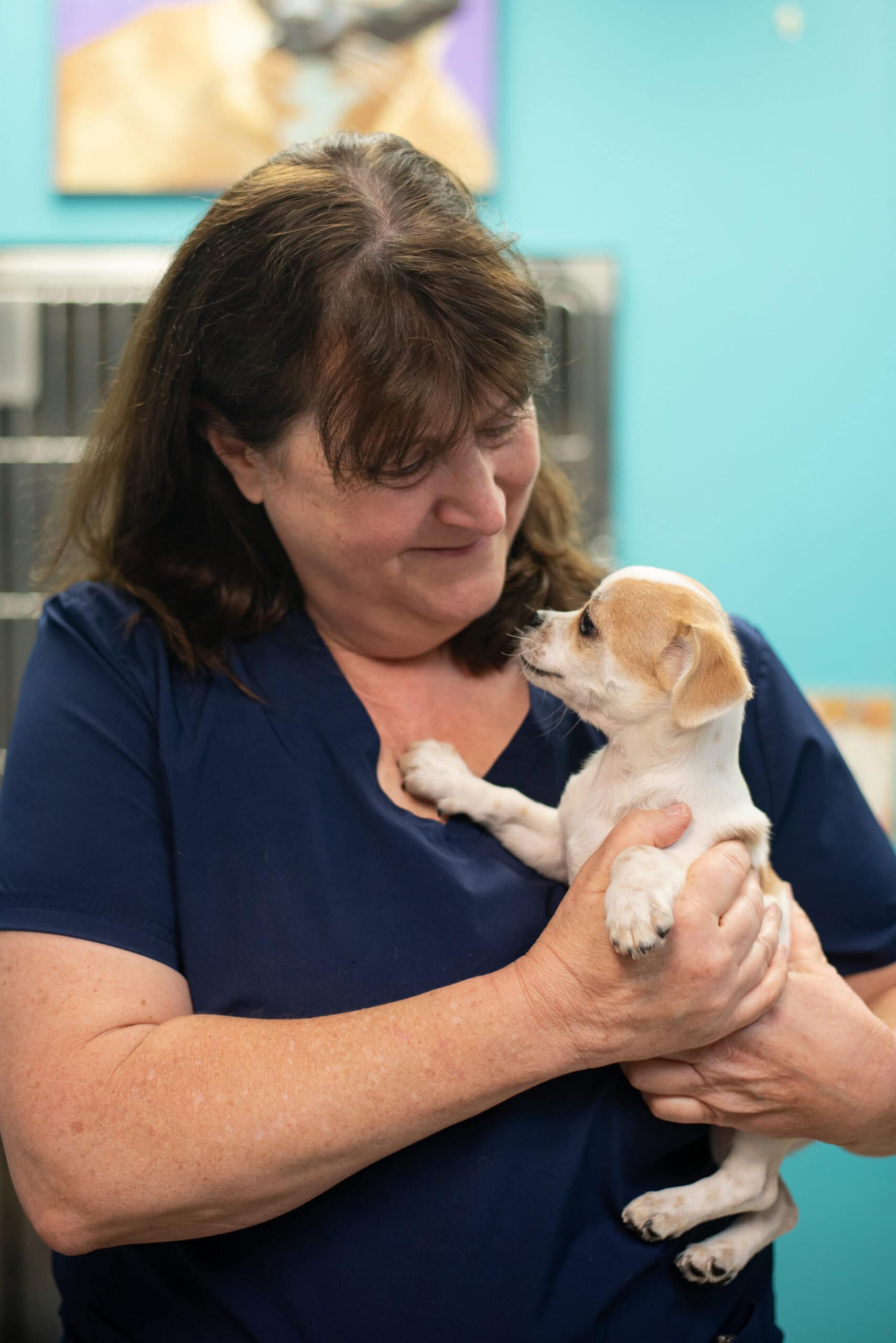 microchip clinic appointment prep