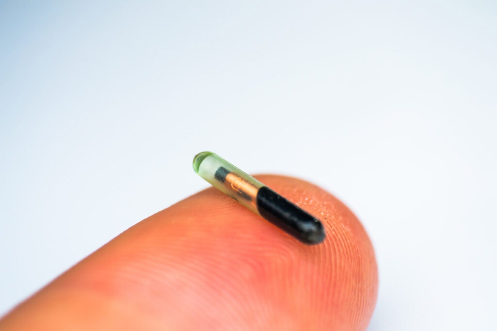 close-up photo of a microchip for pets on human finger
