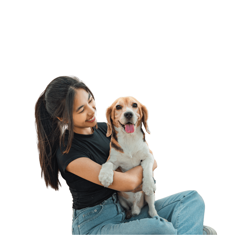 woman hugging happy beagle outdoors