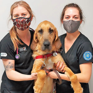 Veterinarian Spotlight: Burloak Animal Hospital - Veterinarian Spotlight: Burloak Animal Hospital