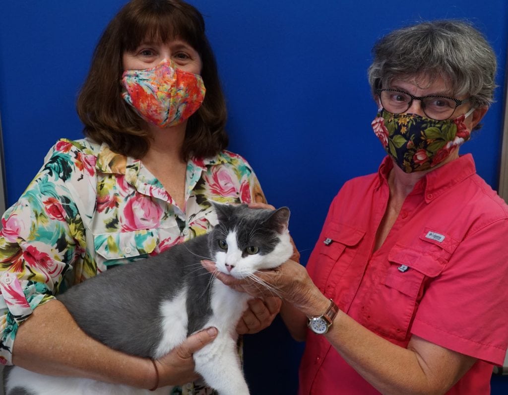 IT TAKES A VILLAGE TO CARE FOR VULNERABLE ANIMALS – ANDREA BARKER - IT TAKES A VILLAGE TO CARE FOR VULNERABLE ANIMALS – ANDREA BARKER