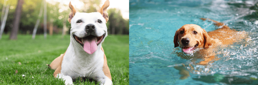 Summer safety tips - Summer safety tips