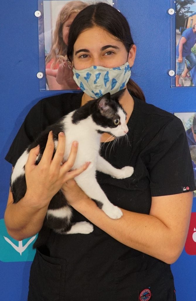 Why Did You Choose to be an RVT? - Why Did You Choose to be an RVT?