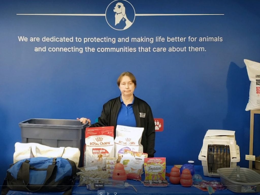 How to Prepare a Go-Bag for your Pet in an Emergency - How to Prepare a Go-Bag for your Pet in an Emergency