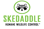 Skedaddle Humane Wildlife Control