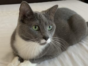 Brian and Nancy - Brian and Nancy