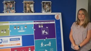 Journeying Home - Journeying Home