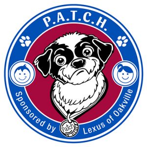 Patch Program - Patch Program