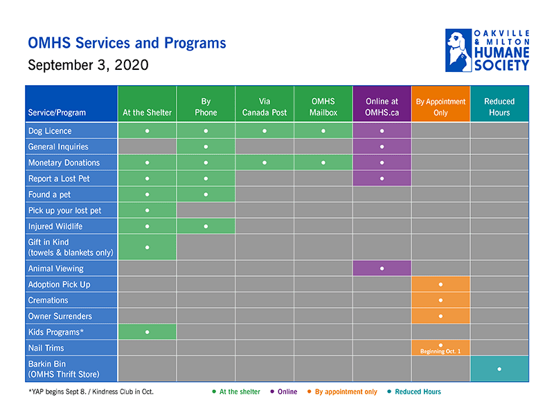 - With Your Support We're Moving to a New Normal