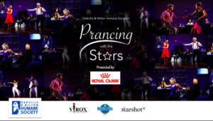 Prancing with the Stars, Physical Distancing Edition a big success! - Prancing with the Stars, Physical Distancing Edition a big success!