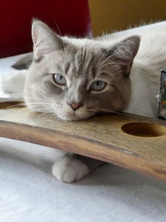 - Michael and Corine