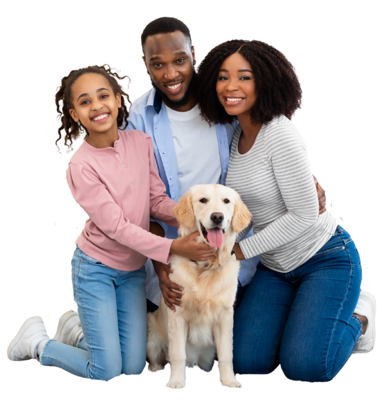 adopt dog oakville family golden retriever