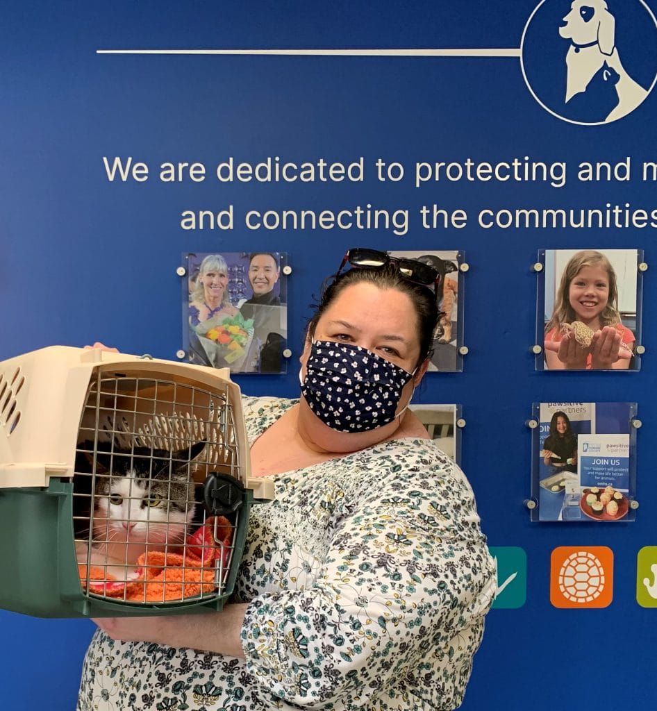 Shelter Adoption 101: What to Do Before, During & After for the Best Experience - Shelter Adoption 101: What to Do Before, During & After for the Best Experience