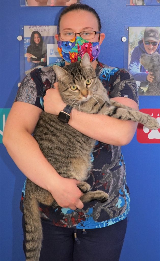 Why Did You Choose to be an RVT? - Why Did You Choose to be an RVT?