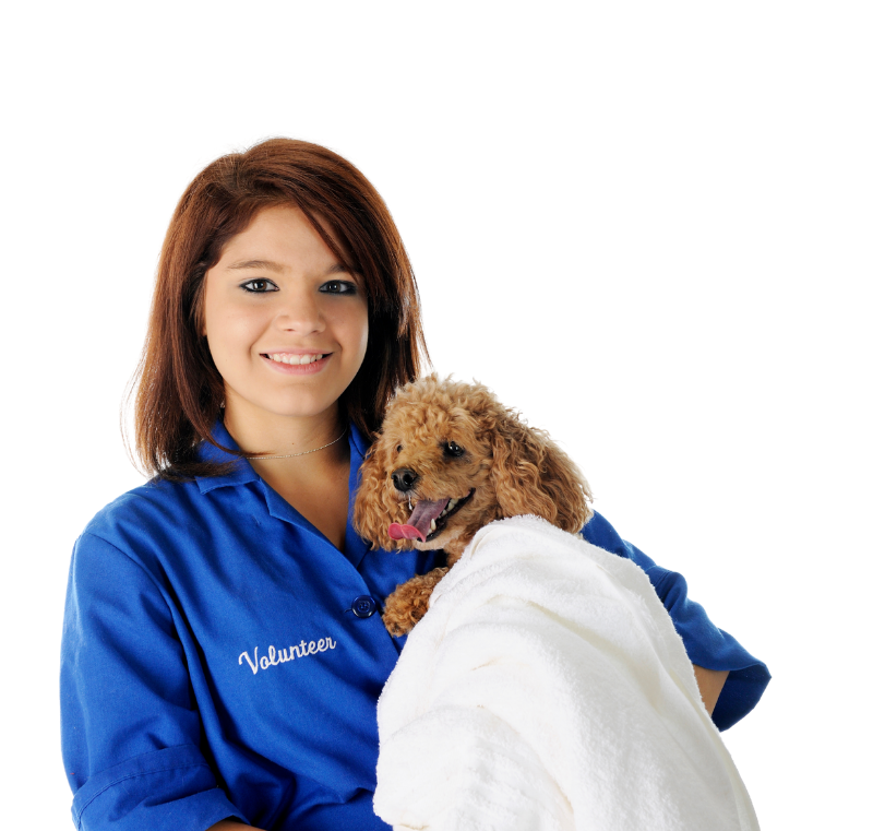 animal shelter volunteer holding dog