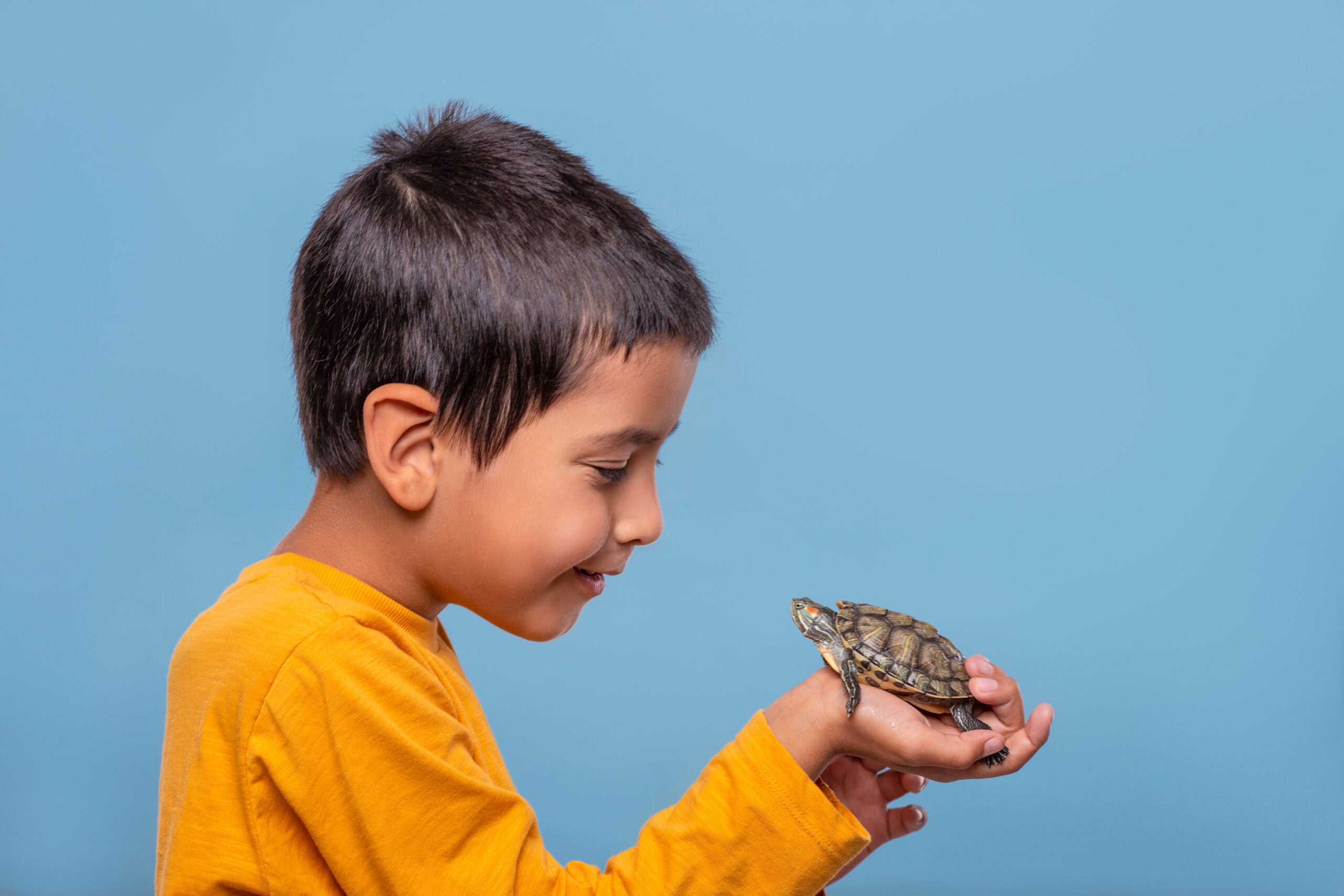 Young boy holds a turtle in his hand