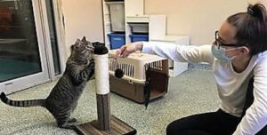 Our Volunteers are the Best - Our Volunteers are the Best