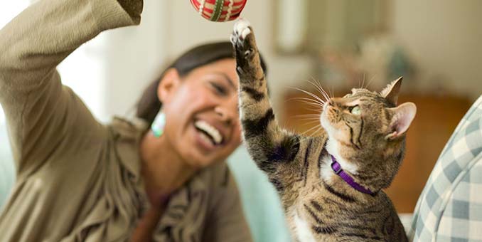 - Pet Care and COVID-19