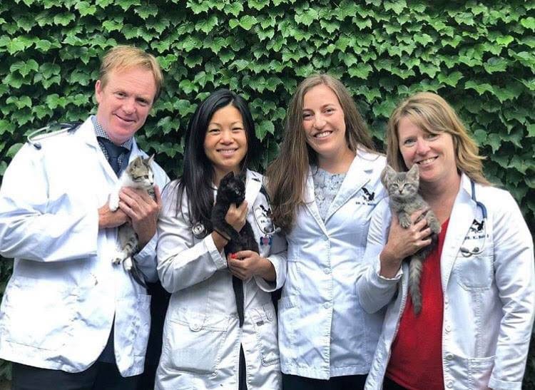 - Veterinary Spotlight: Oakville Animal Clinic