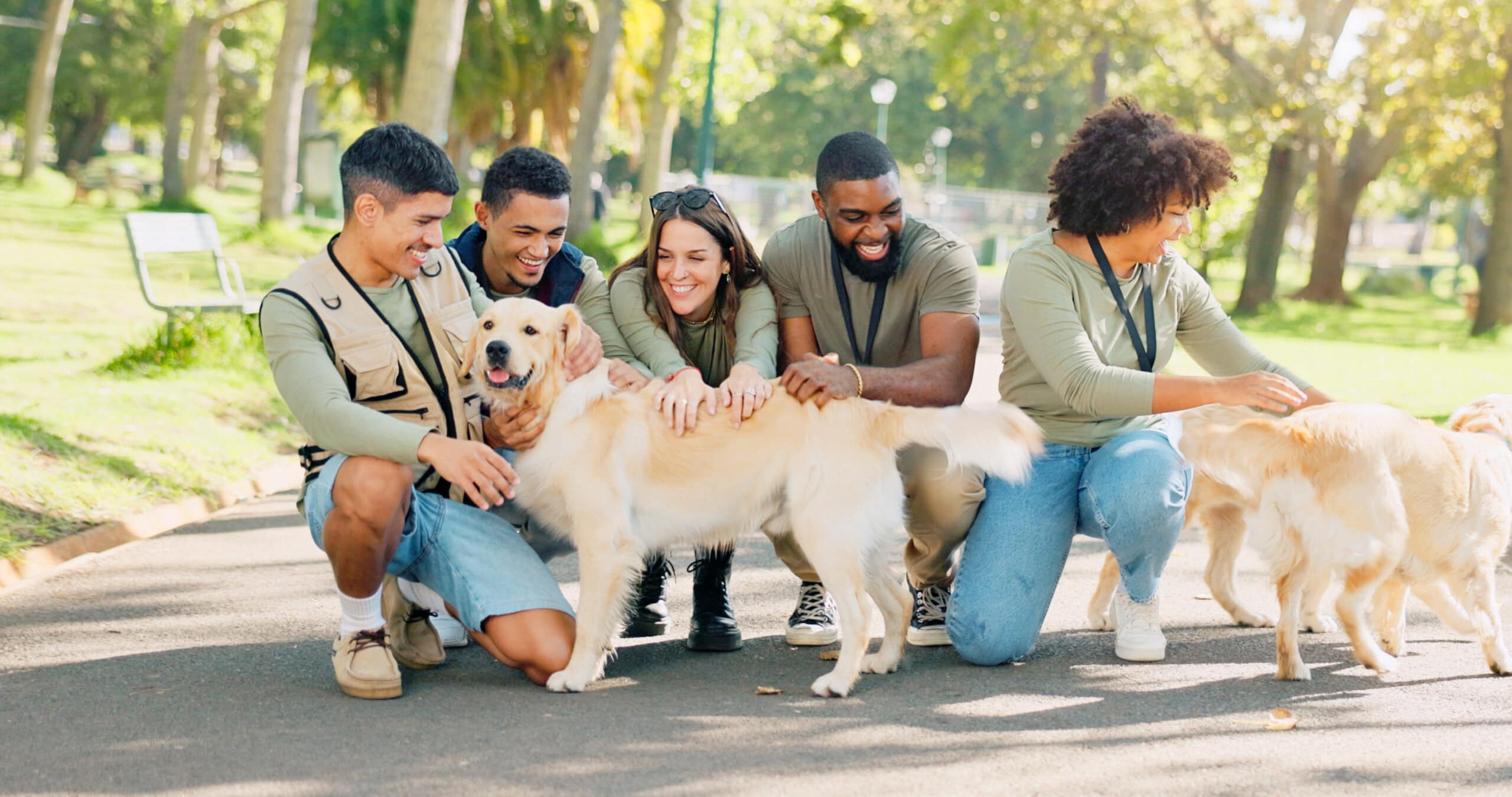 People, volunteer and happy with dogs at park for walk, care and support for community service in new York.
