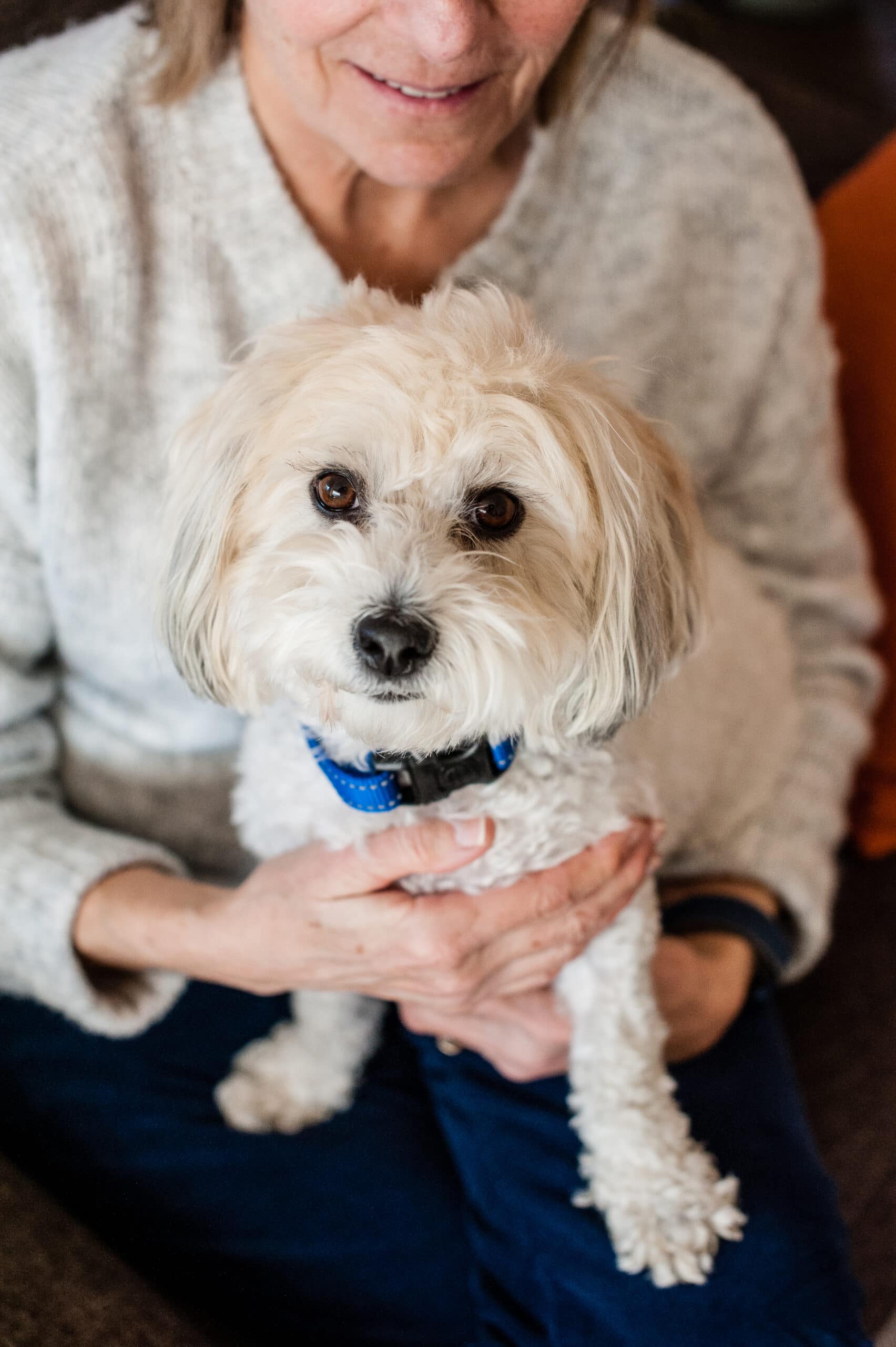 elderly woman holding small white dog