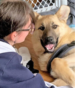 Our Volunteers are the Best - Our Volunteers are the Best