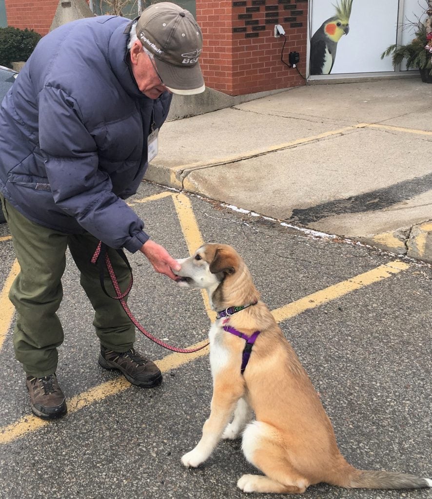 Angler, Singer and Amazing Dog Handler, Meet Gerry Bruce - Angler, Singer and Amazing Dog Handler, Meet Gerry Bruce