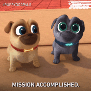 giphy 300x300 Mission Pawsible 2023: Thank You for Accepting Our Mission! - Mission Pawsible 2023: Thank You for Accepting Our Mission!