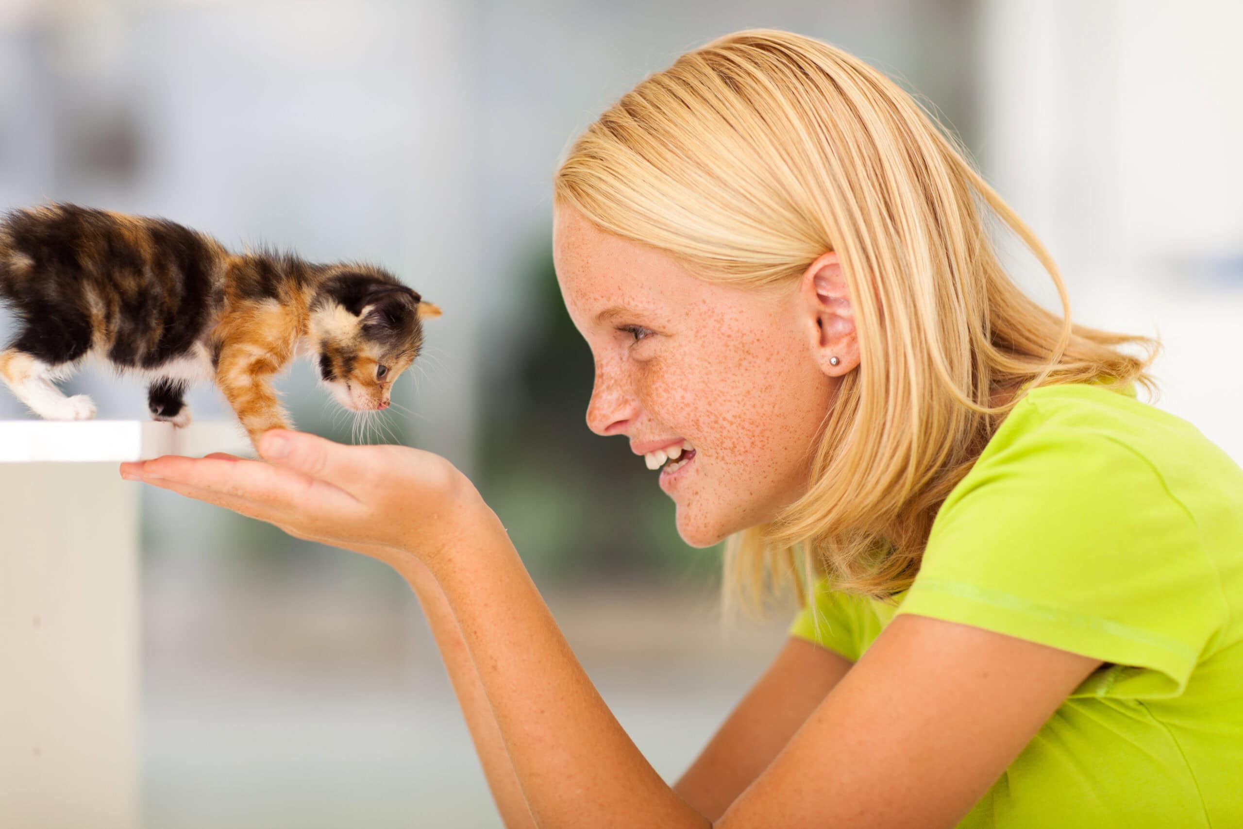 loving teen girl playing with pet kitten