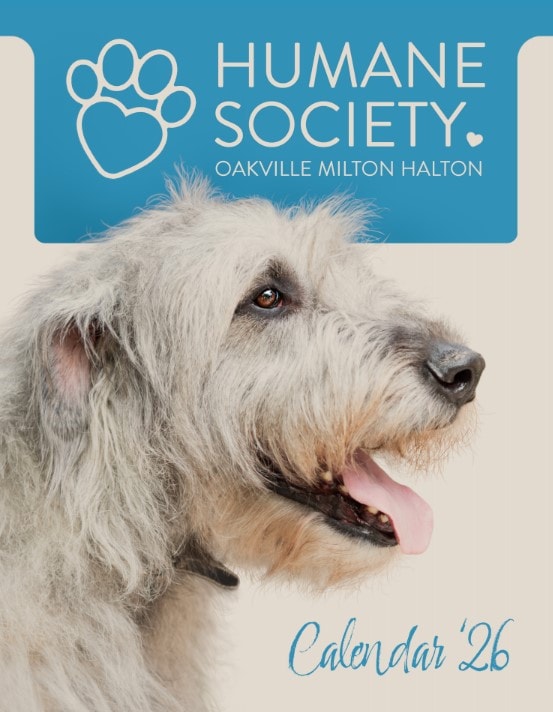 hsomh 2026 calendar cover