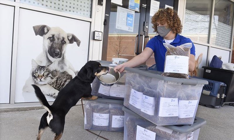 - 'There's a great need': OMHS launches Pet Food Bank