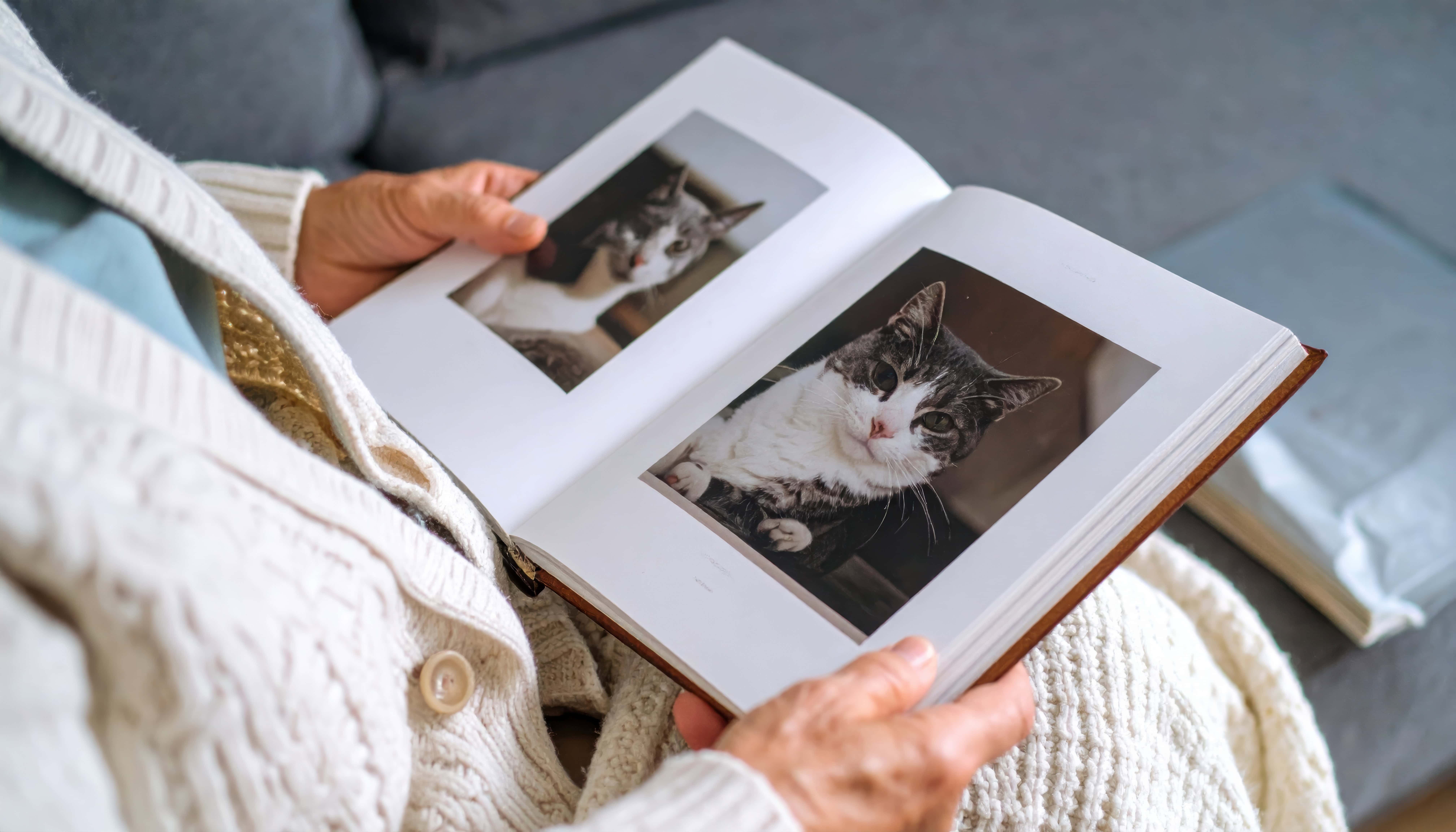 Person Holding Photo Book Featuring Adorable Cat Images