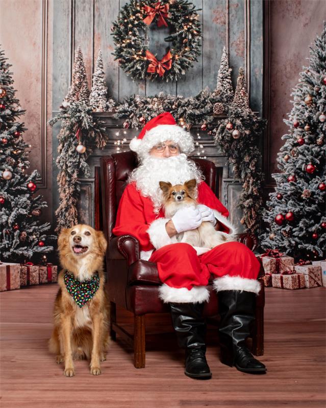 santa pet pic