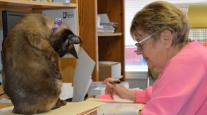 Our Volunteers are the Best - Our Volunteers are the Best