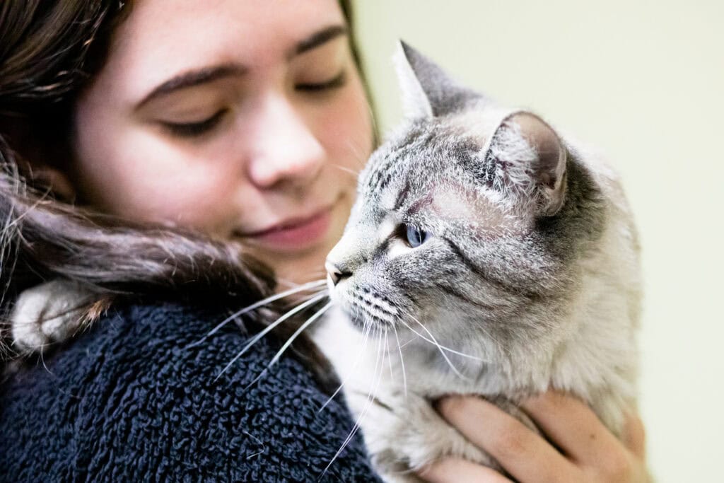 Multiracial Teen Hugs a Grey Cat with Blue Eyes
