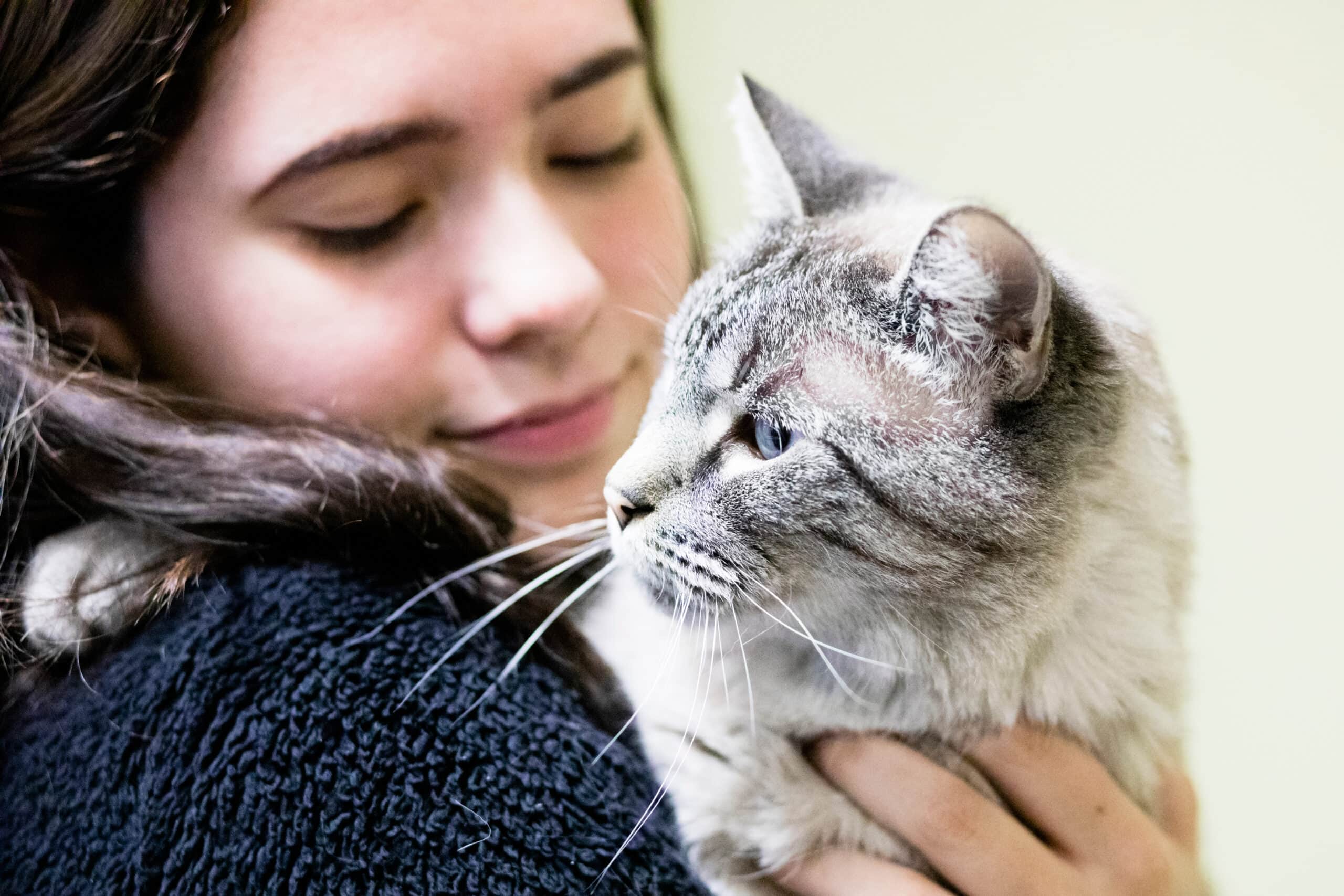 Multiracial Teen Hugs a Grey Cat with Blue Eyes