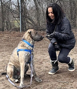 Our Volunteers are the Best - Our Volunteers are the Best