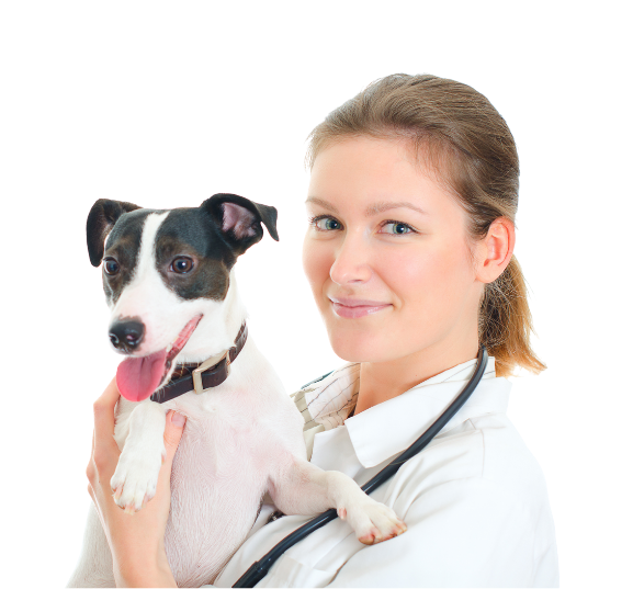 veterinary staff holding small puppy clinic