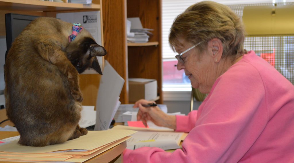 2020 OMHS Volunteer Awards Program Launches - 2020 OMHS Volunteer Awards Program Launches